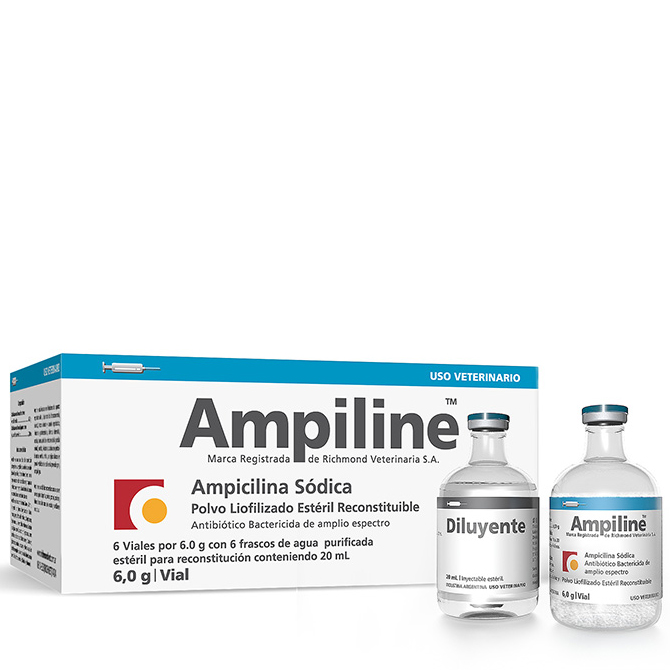 Ampiline Large