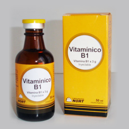 Vitaminico B1 x 3 g.