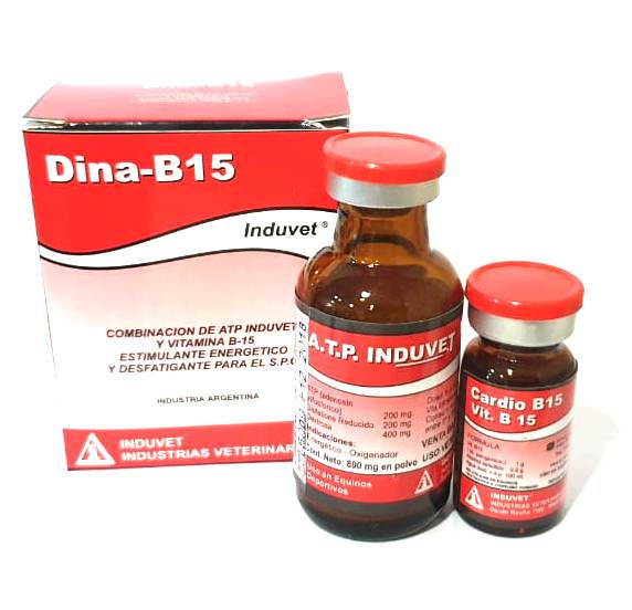 DINA B15