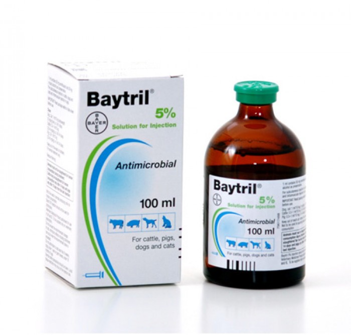 Baytril 5% Iny