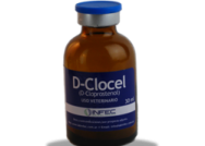 D-Clocel